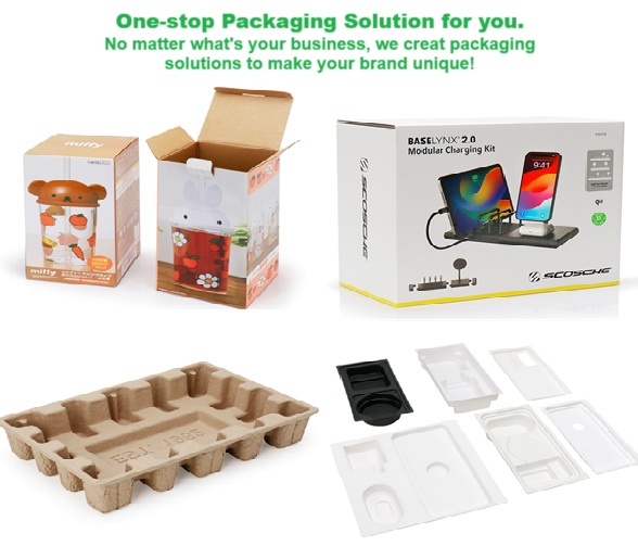 Color box and pulp.jpg